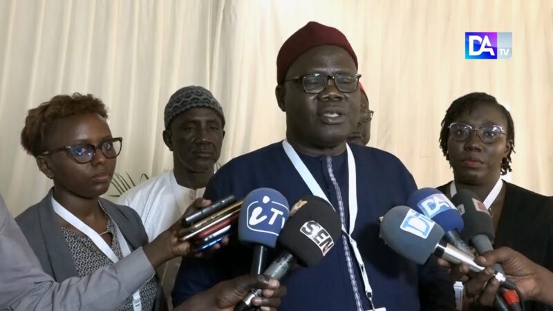 CIDA/Dakar II : « Nous pensons que ces efforts n’atteindront les résultats escomptés que s’ils sont accompagnés d’actions concrètes. » (Kolyang Palebele, président OPA) CIDA/Dakar II : « Nous pensons que ces efforts n’atteindront les résultats escomptés que s’ils sont accompagnés d’actions concrètes. » (Kolyang Palebele, président OPA)