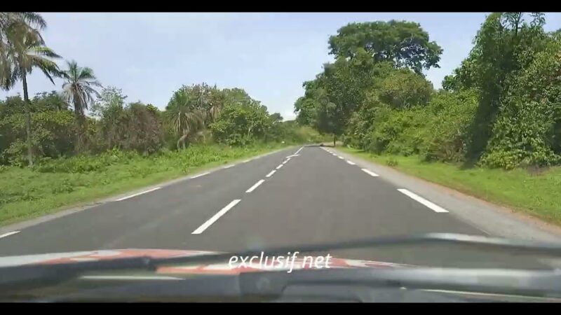 Vidéo : Les images exclusives de la verte Casamance