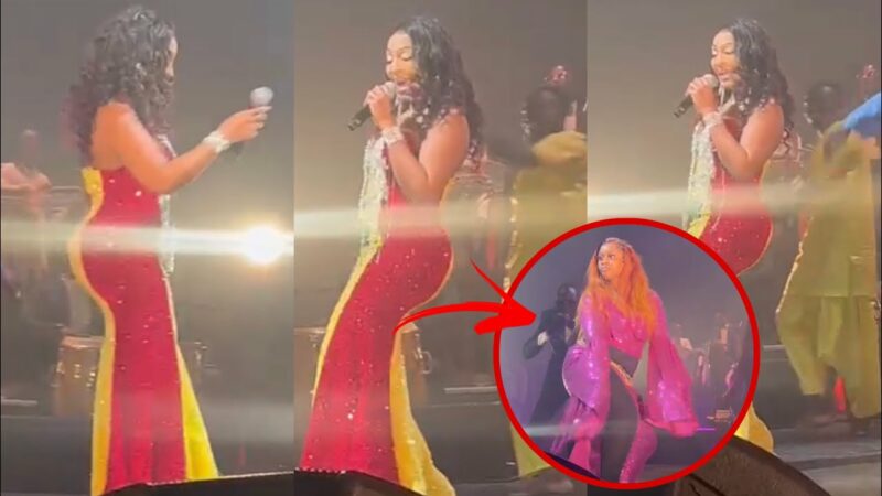 Entrée explosif de Viviane avec une robe très osée au couleur du Senegal au concert de Paris…