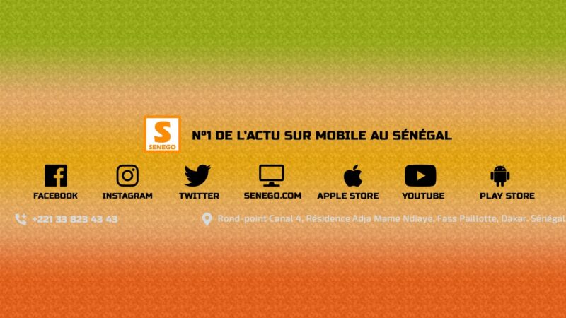 Direct – Suspension de l’ordre des avocats : Me Elhadji Diouf face à la presse