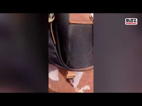 Mbacké : échauffourées entre policiers et manifestants notés