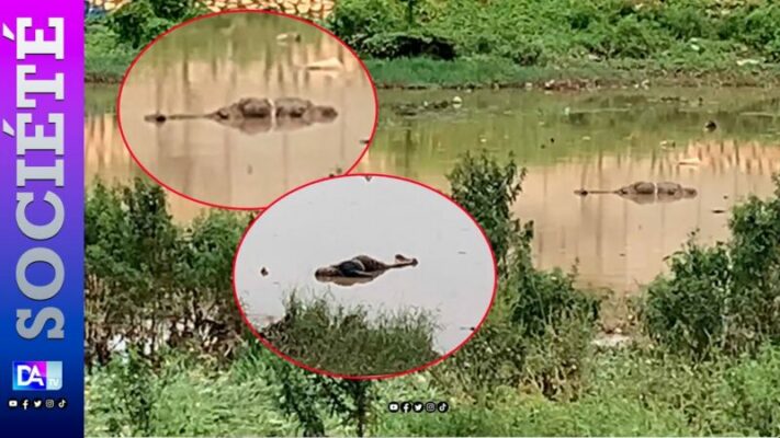Macabre découverte à Patte d’oie : le corps sans vie d’un homme retrouvé dans les eaux d’un bassin 