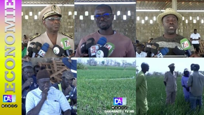 Keur Moussa – Visite dans la zone Nord : Les maraîchers dressent un chapelet de doléances