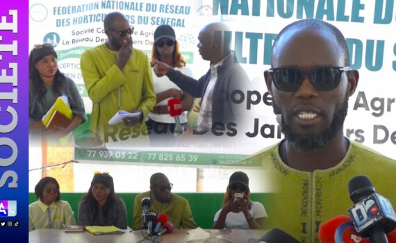 Les horticulteurs du Sénégal dénoncent la mainmise des étrangers sur les marchés publics… Les horticulteurs du Sénégal dénoncent la mainmise des étrangers sur les marchés publics…