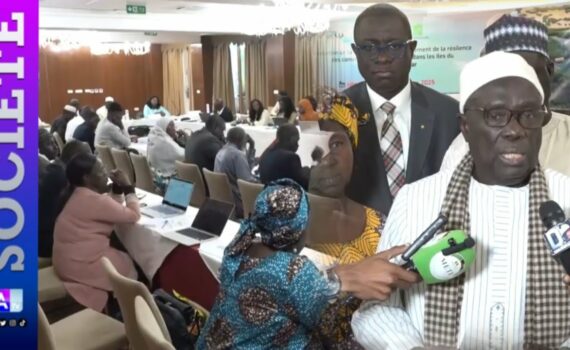 Réduction de la vulnérabilité dans les Îles du Saloum : Dionewar acquiert le projet REVARD à hauteur de 600 millions sur fonds d’adaptation Réduction de la vulnérabilité dans les Îles du Saloum : Dionewar acquiert le projet REVARD à hauteur de 600 millions sur fonds d’adaptation