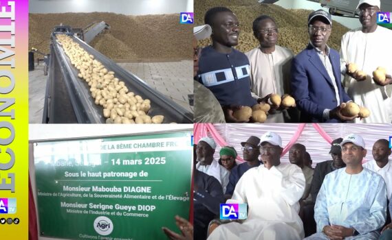 Sécurité alimentaire et développement économique : Le rôle essentiel de Swami Agri dans la Vision 2050 du Sénégal Sécurité alimentaire et développement économique : Le rôle essentiel de Swami Agri dans la Vision 2050 du Sénégal