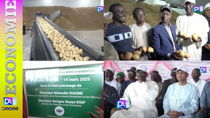 Sécurité alimentaire et développement économique : Le rôle essentiel de Swami Agri dans la Vision 2050 du Sénégal