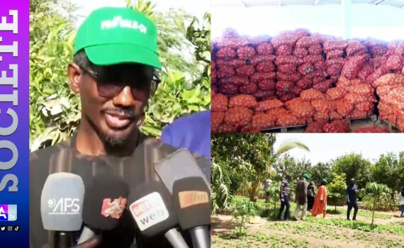 Thiès – réalisation de fermes, d’unités de transformation de céréales, de pistes… : « Aller vers une agriculture qui nous permet de cultiver 12 mois/12″( Djibril Diop, DC) Thiès – réalisation de fermes, d’unités de transformation de céréales, de pistes… : « Aller vers une agriculture qui nous permet de cultiver 12 mois/12″( Djibril Diop, DC)