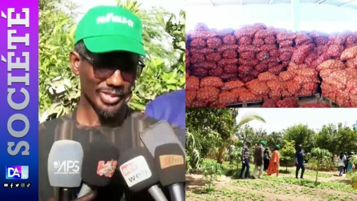 Thiès – réalisation de fermes, d’unités de transformation de céréales, de pistes… : « Aller vers une agriculture qui nous permet de cultiver 12 mois/12″( Djibril Diop, DC)