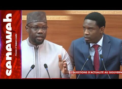 Ousmane Sonko à Pape Djibril Fall : « Vous êtes hors sujet » Ousmane Sonko à Pape Djibril Fall : « Vous êtes hors sujet »
