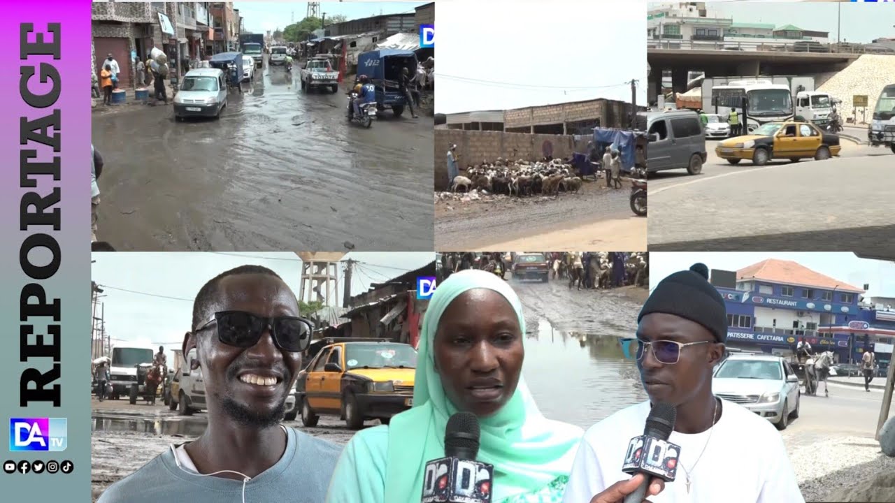 Insécurité, insalubrité et inondations : En détresse, les habitants des « SERAS » appellent à l’aide Insécurité, insalubrité et inondations : En détresse, les habitants des « SERAS » appellent à l’aide