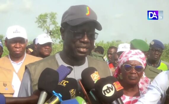 Kaolack – Caravane écologique : plus de 2.000 arbres plantés dans la région Kaolack – Caravane écologique : plus de 2.000 arbres plantés dans la région