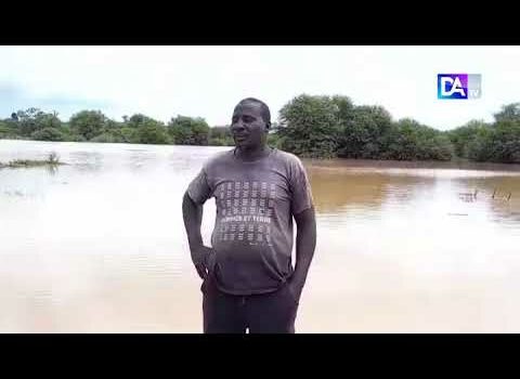 Ballou et ses 11 villages : la situation bouleversante face à la montée du fleuve Sénégal Ballou et ses 11 villages : la situation bouleversante face à la montée du fleuve Sénégal