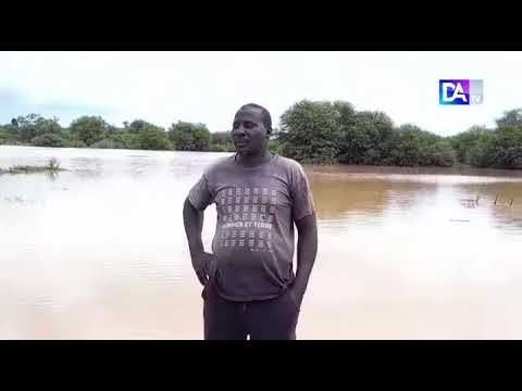 Ballou et ses 11 villages : la situation bouleversante face à la montée du fleuve Sénégal Ballou et ses 11 villages : la situation bouleversante face à la montée du fleuve Sénégal