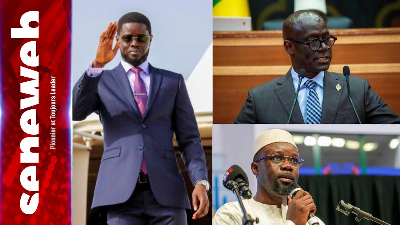 « Au lieu de réduire leurs privilèges, ils rackettent les Sénégalais » : la colère de Thierno Alassane Sall
